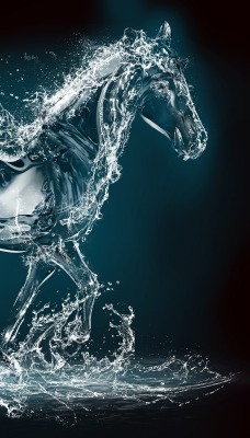 природа животные конь вода креативные графика
