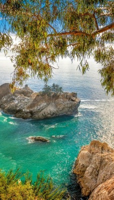 природа море деревья камни скалы