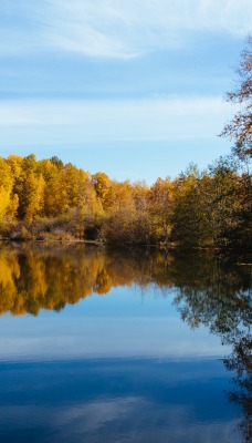 природа деревья отражение озеро
