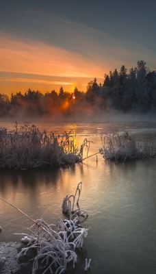 природа деревья иней вечер озеро