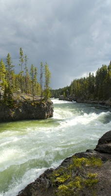 река деревья камни