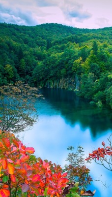 озеро лес зелень