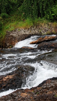 пороги речка