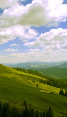 холм гора зелень