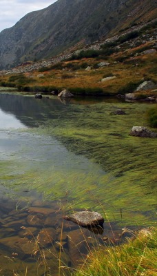 камень речка