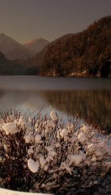 озеро кусты снег холмы