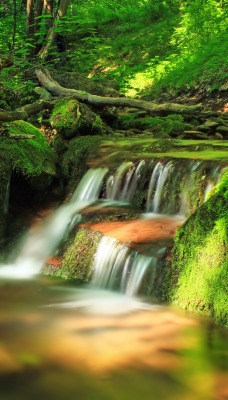 лес водопад речка