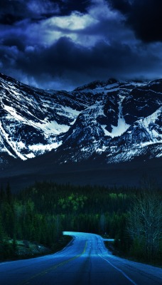 горы ночь лес дорога