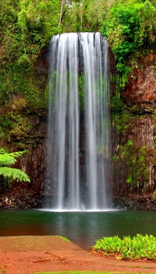 водопад лес