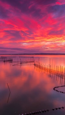 закат розовый море