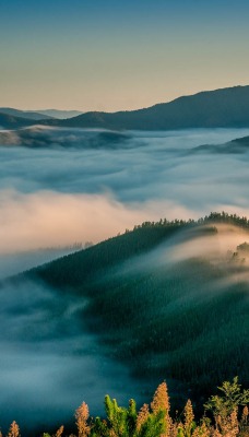 Туман горы пейзаж