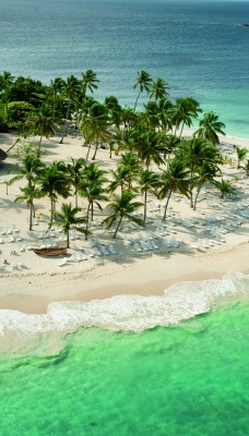 берег волны пляж пальмы