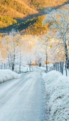 снег трава осень горы