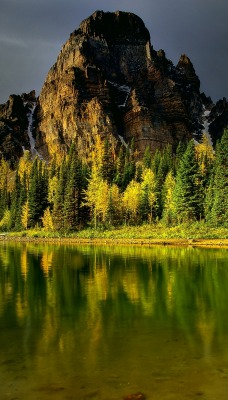горы озеро деревья