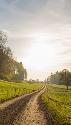 дорога лесостепь солнце