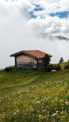 луг домик облака туманность цветы