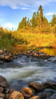 камни лес небо река