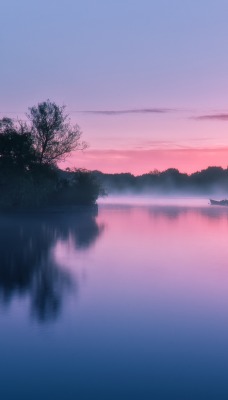 озеро лес деревья природа