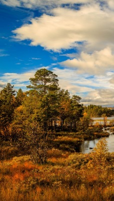 река осень даль