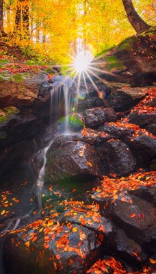 камни лес осень лучи водопад