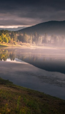 речка туман лес