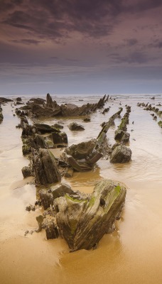 камни море грязь