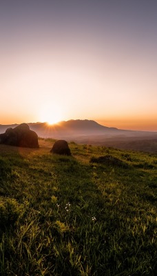 закат поле трава