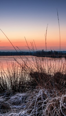 озеро камыши трава небо природа
