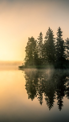 озеро деревья отражение солнце лес