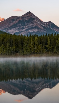 озеро туман лес горы отражение