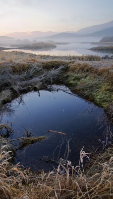 озеро утро туман рассвет лужа