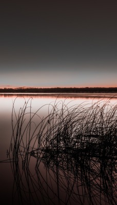 озеро рассвет штиль