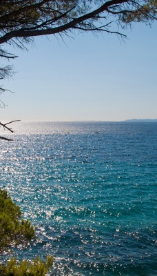 море горизонт дерево блики