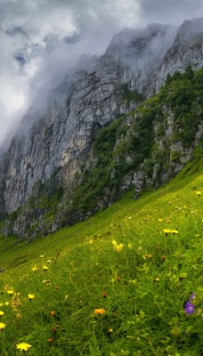 склон весна гора облака трава швейцария