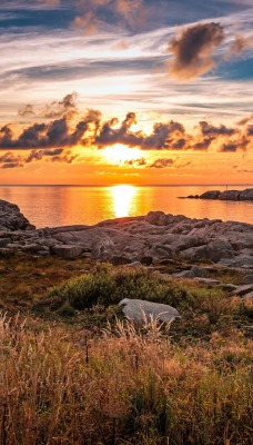 рассвет берег камни залив море