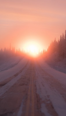 дорога закат зима снег ели