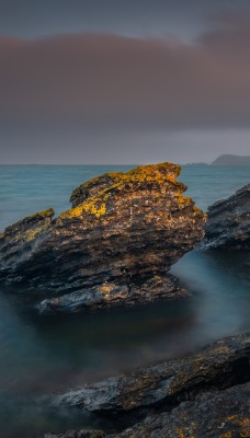 скалы камни мох море берег сумерки