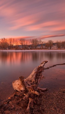 закат озеро коряга берег красный закат