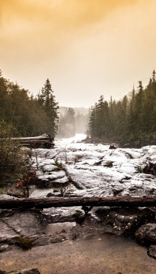 река горная река камни лес туман