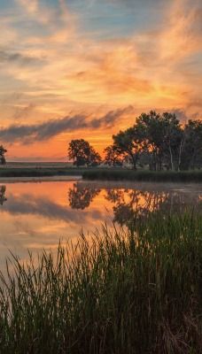 водоем озеро утро рассвет