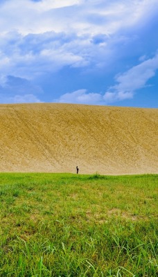 поле холм трава зелень небо