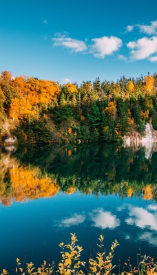 озеро водоем лес отражение штиль осень