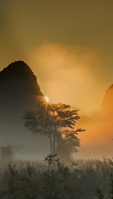 скалы туман тайланд рассвет
