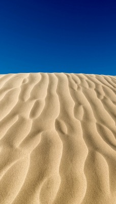 дюна бархан песок пустыня