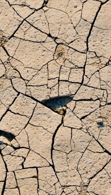 земля засуха трещины