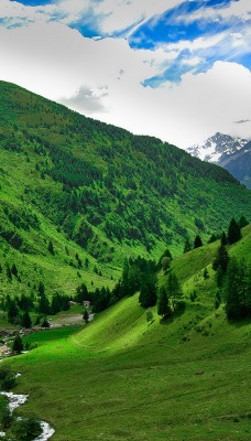 горы зелень швейцария ущелье