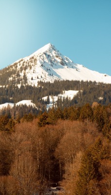 гора леса вершина снег