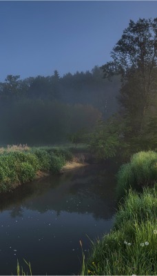 речка поле туман утро рассвет