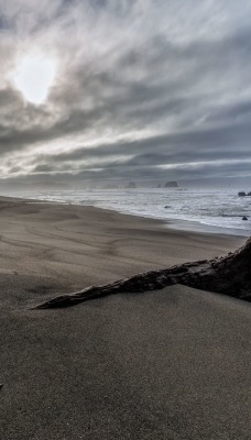 побережье песок коряга облака прибой