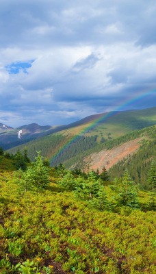 склон зелень холмы горы